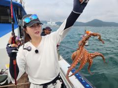 22일 실시간조황