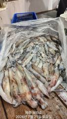한치 앞도 모르는 한치낚시 잼나게 해봅니다