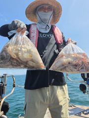 800g에서 900g  수두룩