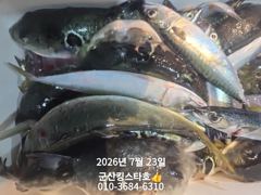 군산킹스타호(7/22)야간고등어 출조일에~