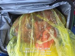 문어조황kkk