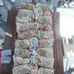 7월21일 팔포1호 키로오바 19수 포획성공하고 마무리합니다 ((돌문어사냥은 계속 이어집니다))
