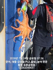 통영 금정호 아침부터 쭉쭉 잡습니다 오늘오후타임 자리있어요