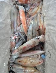 한치가 돌아왔다! 쿨러 묵직!!먹물파티 오늘 예약가능 금.토 예약가능