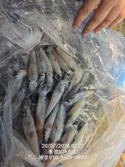 한치 오로지 한치만