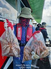 크라켄 안녕?