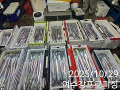 봉돌투척기 사용합니다