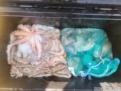 돌문어 kkk장원30수 퍽퍽퍽퍽 여지없이 쪽쪽쪽 마리수
