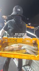 7월24일 오늘 자리여유 통영한치