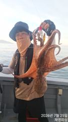 실시간돌문어 굿일요일예약중