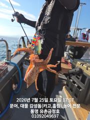 통영 금정호 오후문어도 묵직하게 잡았습니다 내일오후자리있습니다