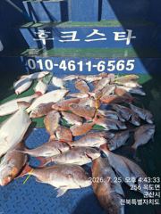 야미도후크스타호 7/25(토) 참돔 조황
