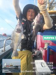 군산하이원호 7월 25일 우럭 6짜5짜 쌍걸이등 광어 조황입니다~