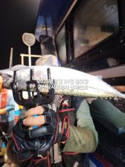 24일, 야간 왕고등어~오늘 갑니다~실시간~~"싸이즈 끝내주는 고등어"~고등어,삼치,등~~~군산 챔피언호