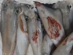 [거제블루]한치시즌 끝난게아니다 거제권한치 씨알이 장난아니네요 쿨러조황  월요일 예약가능~~
