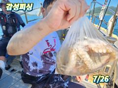 7월25.26일참문어조황입니다