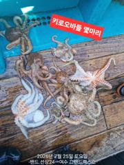 7월25일 나로도권 2키로부터 ~~~키로.키로오바들 35수정도 
