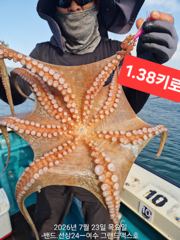 7월23일 돌문어조황~~~나로도권ㅡ2.4키로부터 키로.키로 오바들로 나로도권 피딩도보고.