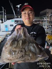 삼천포 마린보이 7.25. 토요일 풍성한 마릿수 야간문어 뜯고 왔습니다.