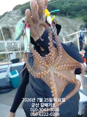 7월25일 갈매기호 야간 문어 조황