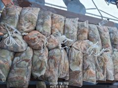 7월25일 팔포1호 키로오바 16수 포함 마릿수 대~박 ((29일 자리여유 => 지금바로 010.2565.5943 전화주세요))
