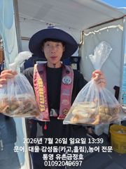 통영 금정호 오전문어 묵직한 조황! 내일자리있습니다
