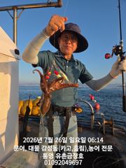 통영 금정호 문어들 다시 잘나오기 시작합니다 내일 오전자리있습니다