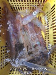 ((왕대포한치))대포한치 청기백기 원피투피쓰리피 쿨러만땅 오늘(예약가능자리완전텅텅 