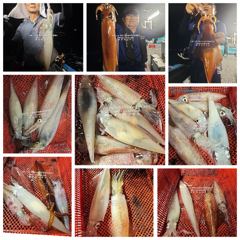 [통영대교피싱]중치 왕대포들~ 내일자리여유 