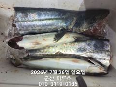 7월 25일 야.라지. 조항