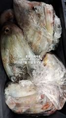 7월26일 철수 통영한치 오늘 두자리 공석