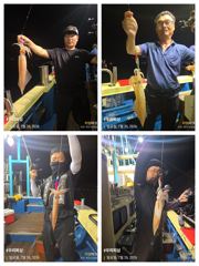 한치 오늘도 달립니다. (예약가능)