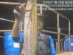 ⭐군산 리더호 야간고등어 쿨러조황⭐ 낼4자리여유