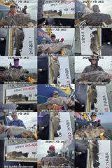 7월26일 썬스타호 우럭조황`~