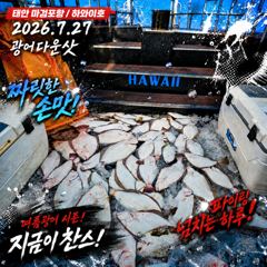 [광어조황] 7.27 하와이호 광어다운샷 조황소식