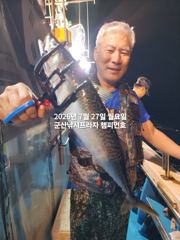 26일, 야간 왕고등어~오늘도 갑니다~전갱이등~실시간~"싸이즈 끝내주는 고등어"~고등어,삼치,등~~~군산 챔피언호