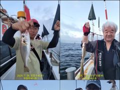7월27일 왕백조기 12人 조황입니다~!!
