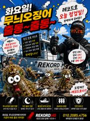 레코드호7/26무늬오징어 크게 더 크게 찍어드려요