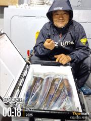 [한치,갈치] 31일,한치,갈치,병행출조 합니다(금,일요일,출항확정)