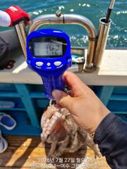 7월27일 1.8키로부터 키로오바들과 문꾸미까정~~~수요일부터자리여유