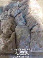 7월27일 월요일 갈매기호 야간문어 조황
