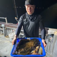 7월27일 무늬오징어 조황 제주엔에스호