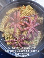 통영 금정호 오전문어선상 묵직한 손맛조황입니다 내일자리있습니다