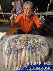 7월 27일 제주포세이돈호 한치조황 입니다 