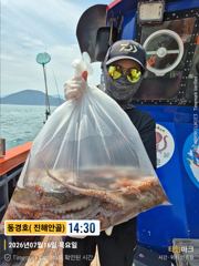 돌문어 7월16일 조황