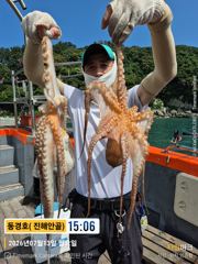 돌문어 7월 13일 조황