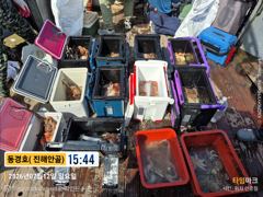7월 12일 돌문어조황