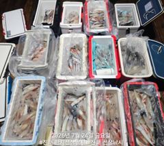 대포급 왕한치 먹물폭탄 조항!! 금요일 2자리여유 있습니다 