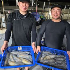 28일 팁런 무늬오징어 조황입니다