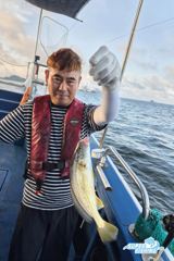 [백조기] [남촌낚시] 7월 29일 서천마량포구 슈퍼피싱호 백조기 조황입니다. 주차 편한 마량진항입니다.